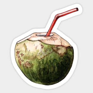 Coconut Drink - Watercolor Realistic Illustration Sticker